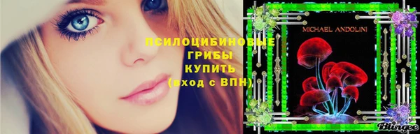 2c-b Балахна